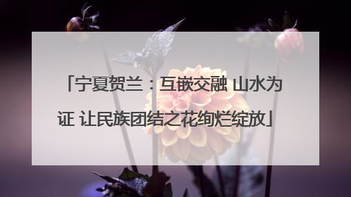 宁夏贺兰：互嵌交融 山水为证 让民族团结之花绚烂绽放