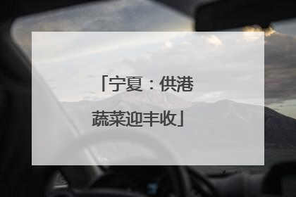 宁夏：供港蔬菜迎丰收