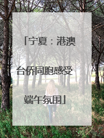 宁夏：港澳台侨同胞感受端午氛围