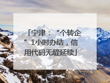 宁津：“个转企”1小时办结，信用代码无缝延续