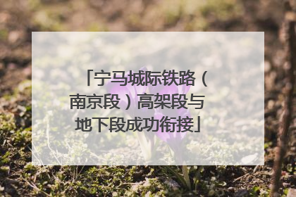 宁马城际铁路（南京段）高架段与地下段成功衔接
