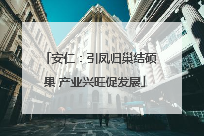 安仁：引凤归巢结硕果 产业兴旺促发展