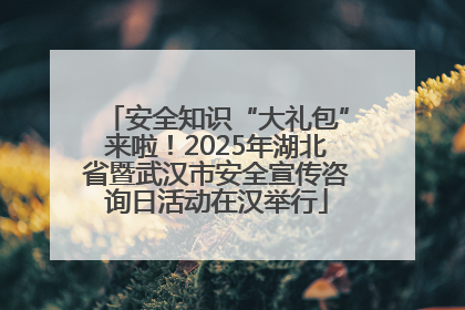 安全知识“大礼包”来啦!2025年湖北省暨武汉市安全宣传咨询日活动在汉举行