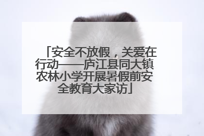 安全不放假，关爱在行动——庐江县同大镇农林小学开展暑假前安全教育大家访