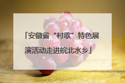 安徽省“村歌”特色展演活动走进皖北水乡