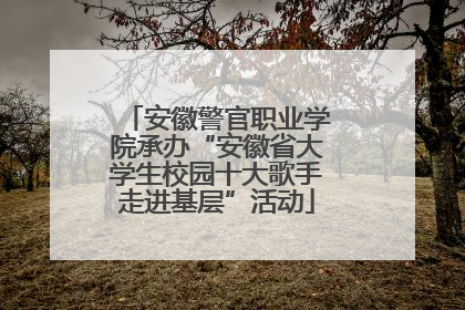 安徽警官职业学院承办“安徽省大学生校园十大歌手走进基层”活动