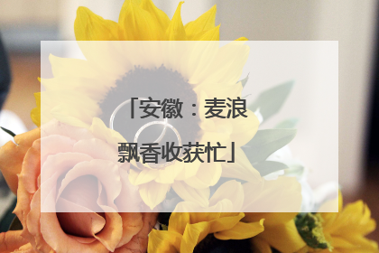 安徽：麦浪飘香收获忙