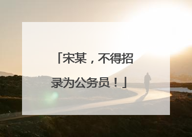 宋某，不得招录为公务员！