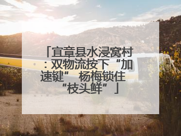 宜章县水浸窝村：双物流按下“加速键” 杨梅锁住“枝头鲜”