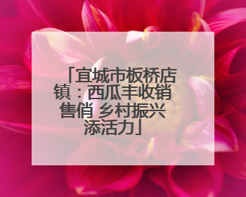 宜城市板桥店镇：西瓜丰收销售俏 乡村振兴添活力