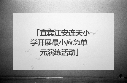 宜宾江安连天小学开展最小应急单元演练活动