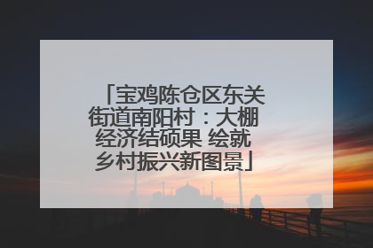 宝鸡陈仓区东关街道南阳村：大棚经济结硕果 绘就乡村振兴新图景