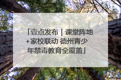 壹点发布｜课堂阵地+家校联动 德州青少年禁毒教育全覆盖