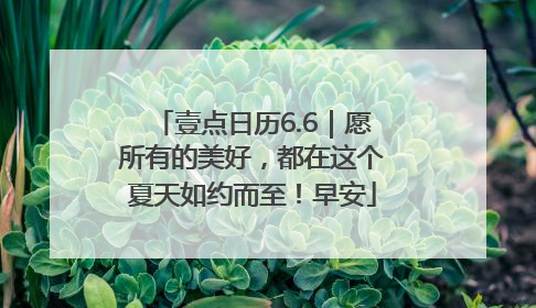 壹点日历6.6｜愿所有的美好，都在这个夏天如约而至！早安