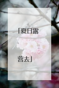 夏日露营去