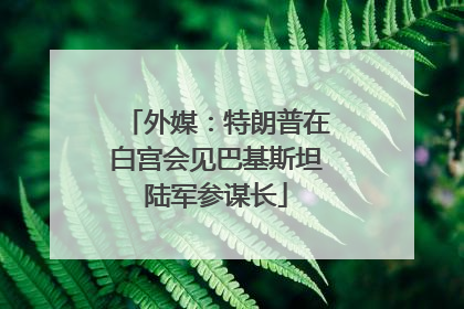 外媒：特朗普在白宫会见巴基斯坦陆军参谋长