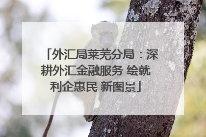 外汇局莱芜分局：深耕外汇金融服务 绘就利企惠民 新图景