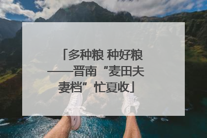 多种粮 种好粮——晋南“麦田夫妻档”忙夏收