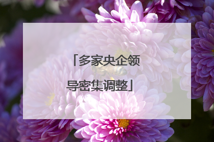 多家央企领导密集调整