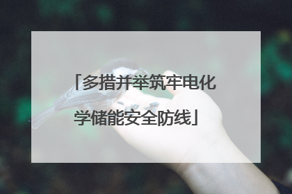 多措并举筑牢电化学储能安全防线
