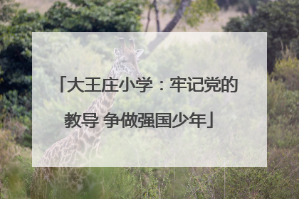 大王庄小学：牢记党的教导 争做强国少年