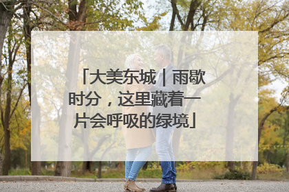 大美东城｜雨歇时分，这里藏着一片会呼吸的绿境