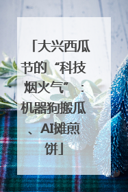 大兴西瓜节的“科技烟火气”：机器狗搬瓜、AI摊煎饼