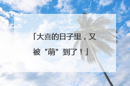 大喜的日子里，又被“萌”到了！