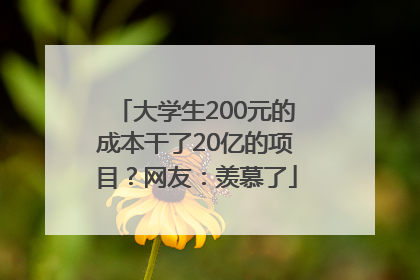 大学生200元的成本干了20亿的项目？网友：羡慕了
