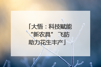 大悟：科技赋能“新农具” 飞防助力花生丰产
