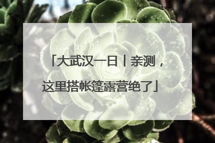 大武汉一日丨亲测，这里搭帐篷露营绝了