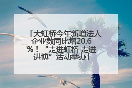 大虹桥今年新增法人企业数同比增20.6%！“走进虹桥 走进进博”活动举办