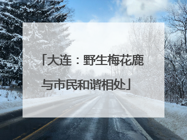 大连：野生梅花鹿与市民和谐相处