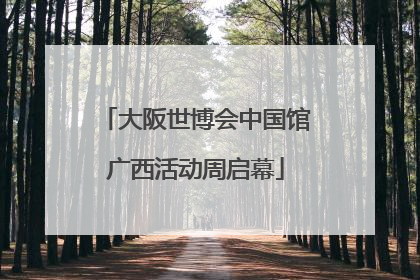 大阪世博会中国馆广西活动周启幕