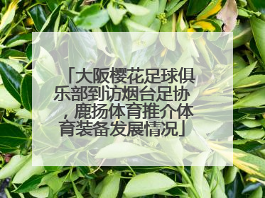 大阪樱花足球俱乐部到访烟台足协,鹿扬体育推介体育装备发展情况