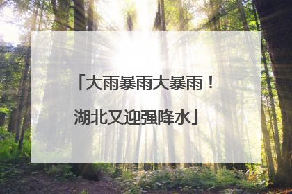 大雨暴雨大暴雨！湖北又迎强降水