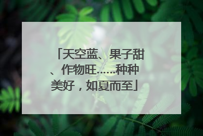 天空蓝、果子甜、作物旺……种种美好，如夏而至