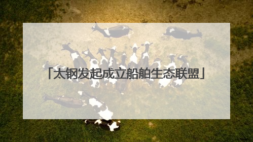 太钢发起成立船舶生态联盟