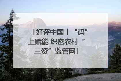 好评中国丨“码”上赋能 织密农村“三资”监管网