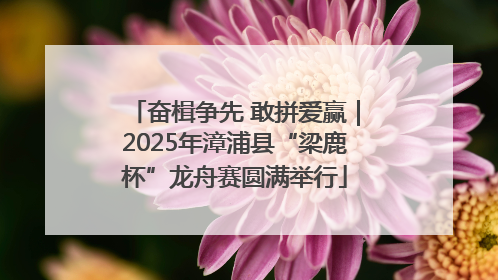 奋楫争先 敢拼爱赢｜2025年漳浦县“梁鹿杯”龙舟赛圆满举行