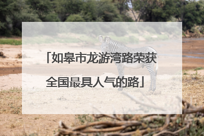 如皋市龙游湾路荣获全国最具人气的路