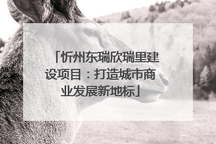 忻州东瑞欣瑞里建设项目：打造城市商业发展新地标