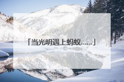 当光明遇上蚂蚁……