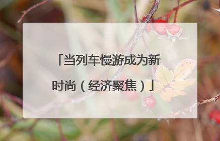 当列车慢游成为新时尚（经济聚焦）