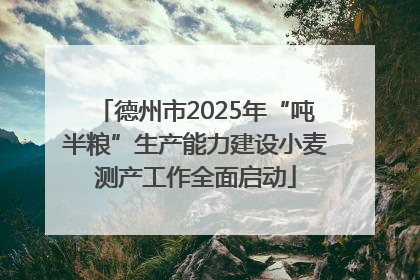 德州市2025年“吨半粮”生产能力建设小麦测产工作全面启动