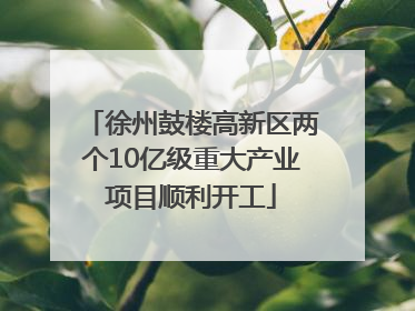 徐州鼓楼高新区两个10亿级重大产业项目顺利开工