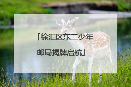 徐汇区东二少年邮局揭牌启航