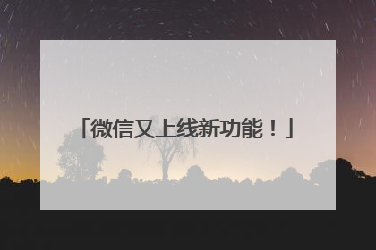 微信又上线新功能！