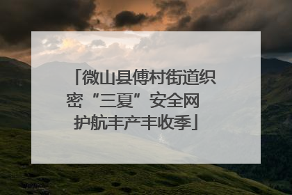 微山县傅村街道织密“三夏”安全网 护航丰产丰收季