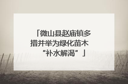 微山县赵庙镇多措并举为绿化苗木“补水解渴”